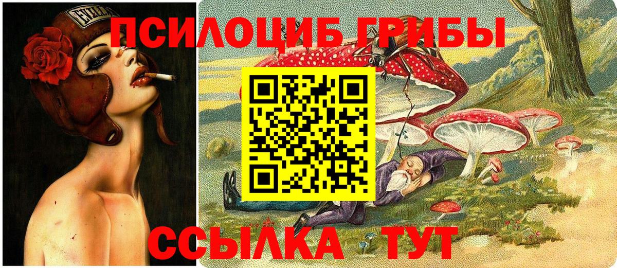 Красноуфимск  Галлюциногенные грибы Psilocybe  Вход с VPN 